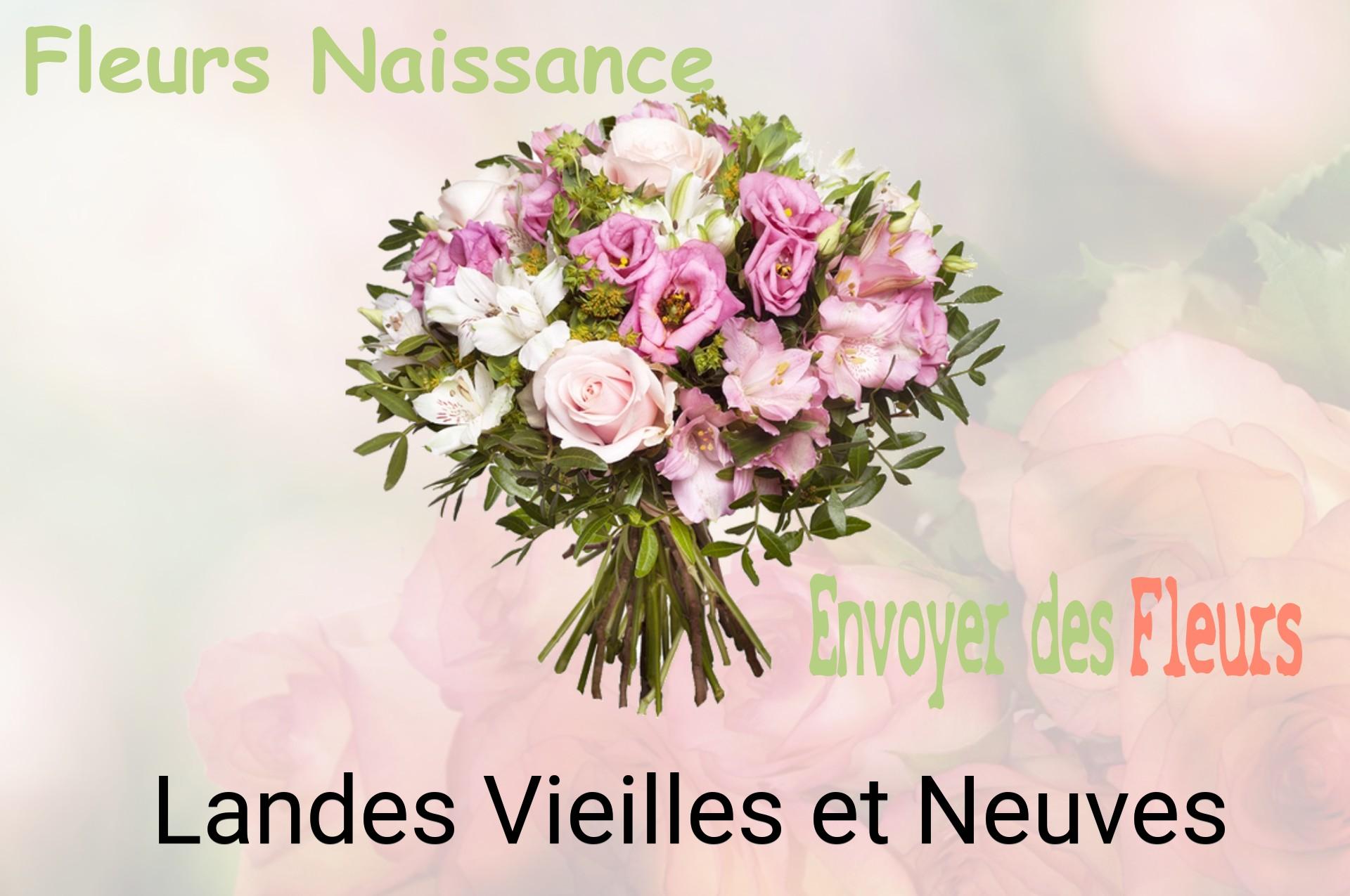 Bouquet de fleurs de naissance livré à Landes-Vieilles-et-Neuves